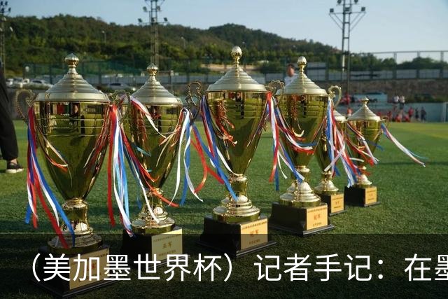 （美加墨世界杯）记者手记：在墨西哥城，足球是一场庆典